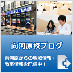 英才個別学院向河原校ブログ